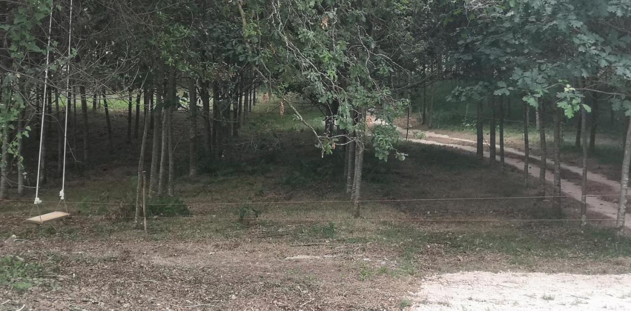 Quinta Do Soldado Βίλα Albergaria-a-Velha Εξωτερικό φωτογραφία