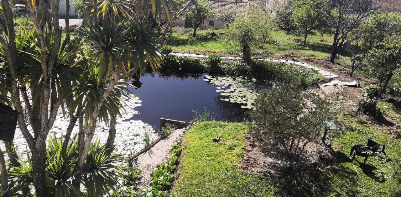 Quinta Do Soldado Βίλα Albergaria-a-Velha Εξωτερικό φωτογραφία