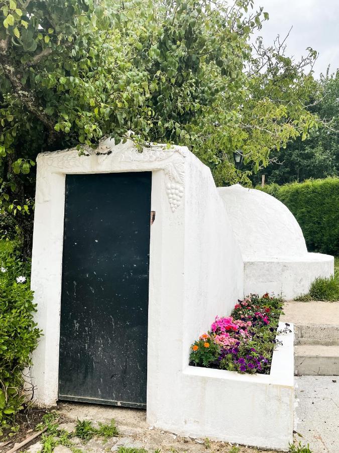 Quinta Do Soldado Βίλα Albergaria-a-Velha Εξωτερικό φωτογραφία